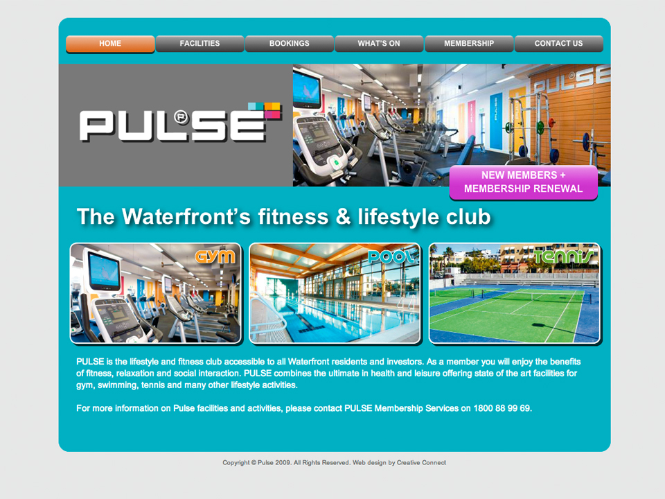 Pulse — Historical website design
